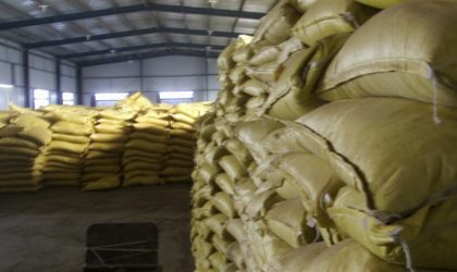 Potassium Humate Woven bags